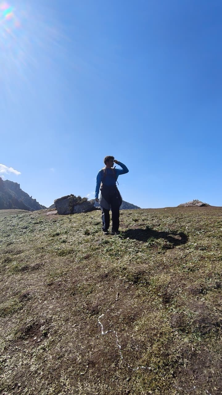 Dev above the tree line